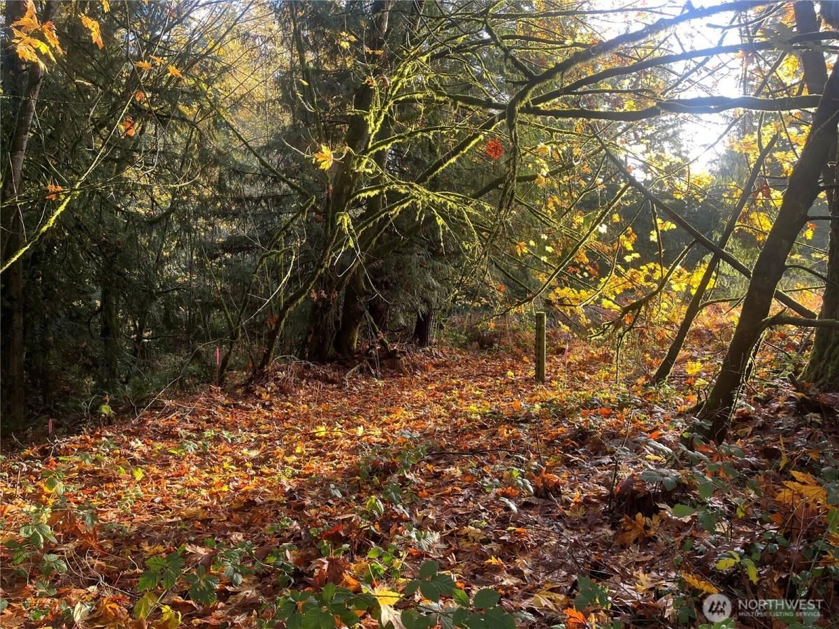 MLS #NWM2453002 image #0