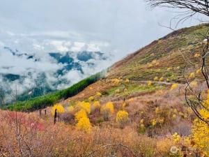 MLS #NWM2454606 image #0