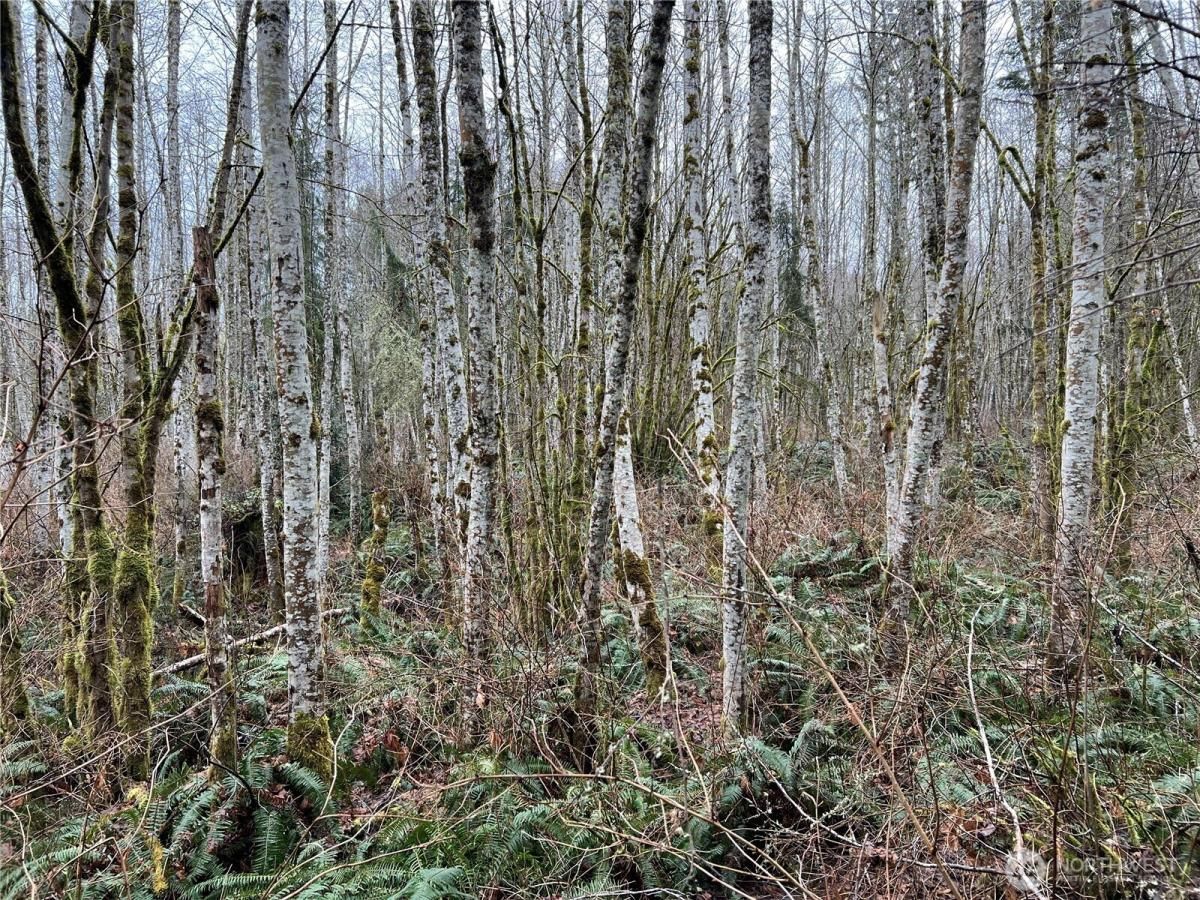 MLS #NWM2454641 image #0