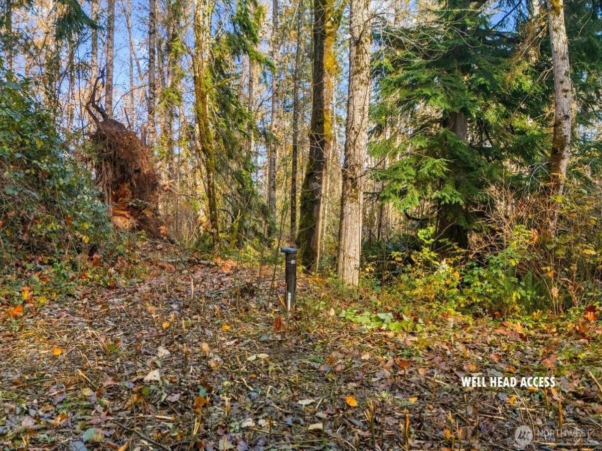 MLS #NWM2454867 image #0