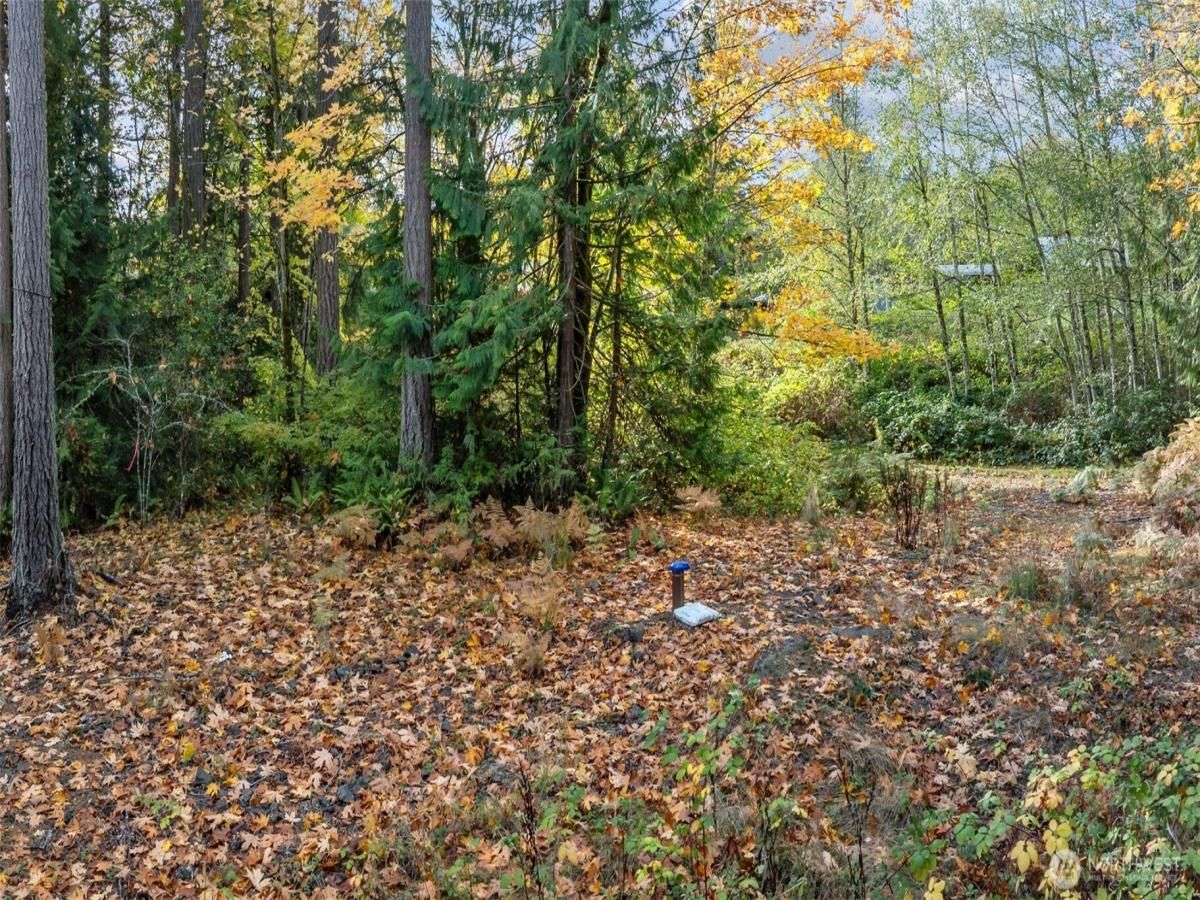 MLS #NWM2454930 image #0