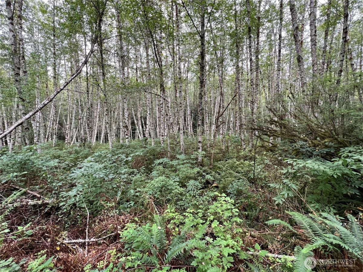 MLS #NWM2454960 image #0