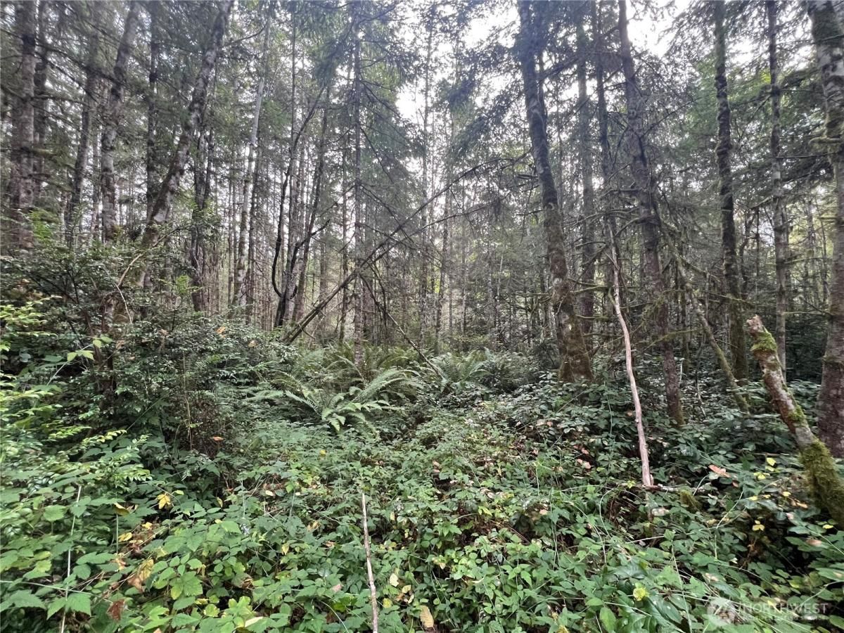 MLS #NWM2455003 image #0