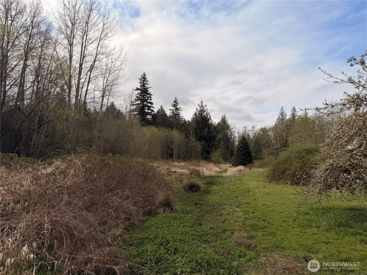 MLS #NWM2455181 image #0