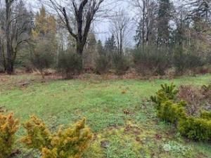 MLS #NWM2455544 image #0