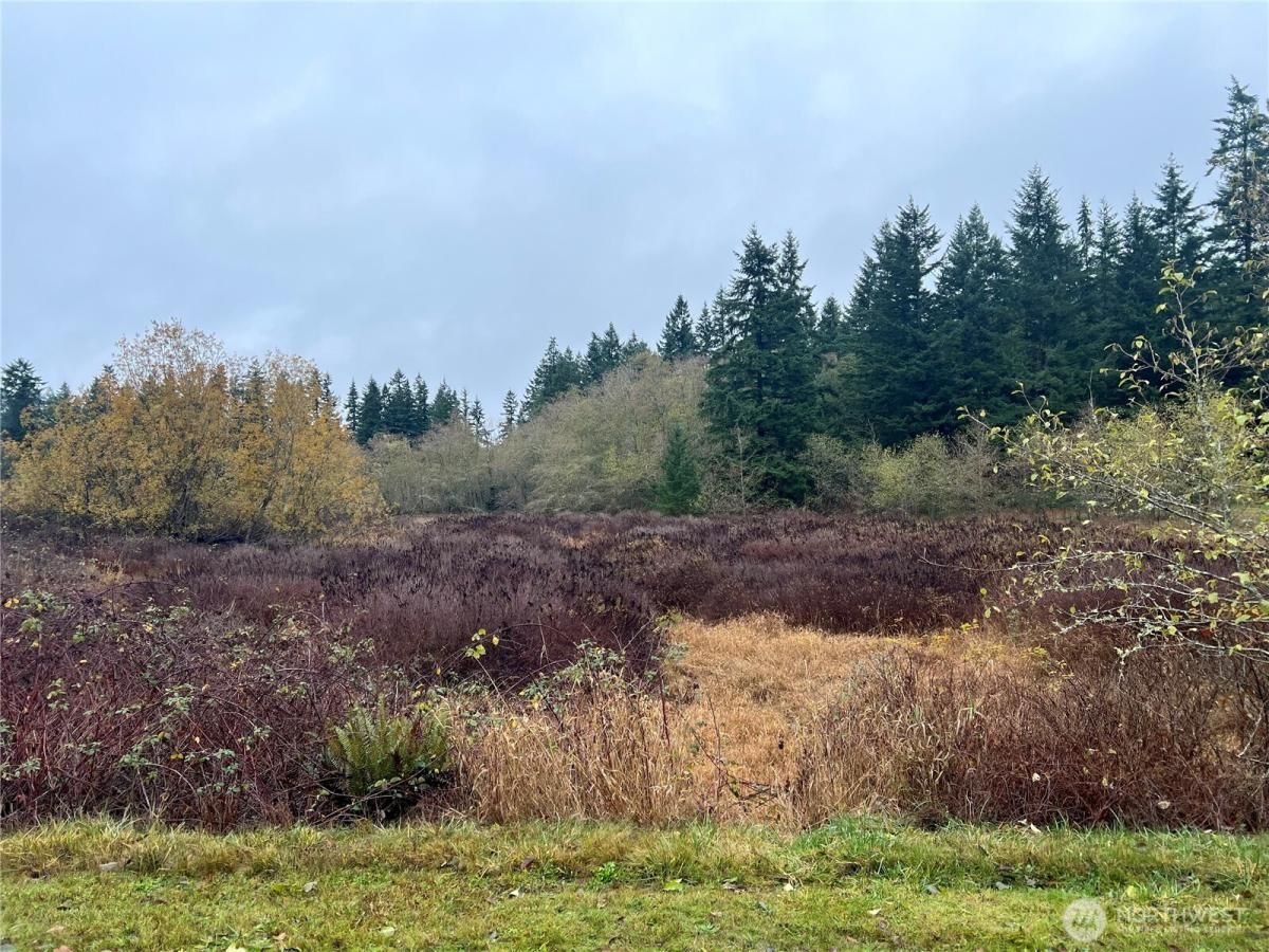 MLS #NWM2456534 image #0