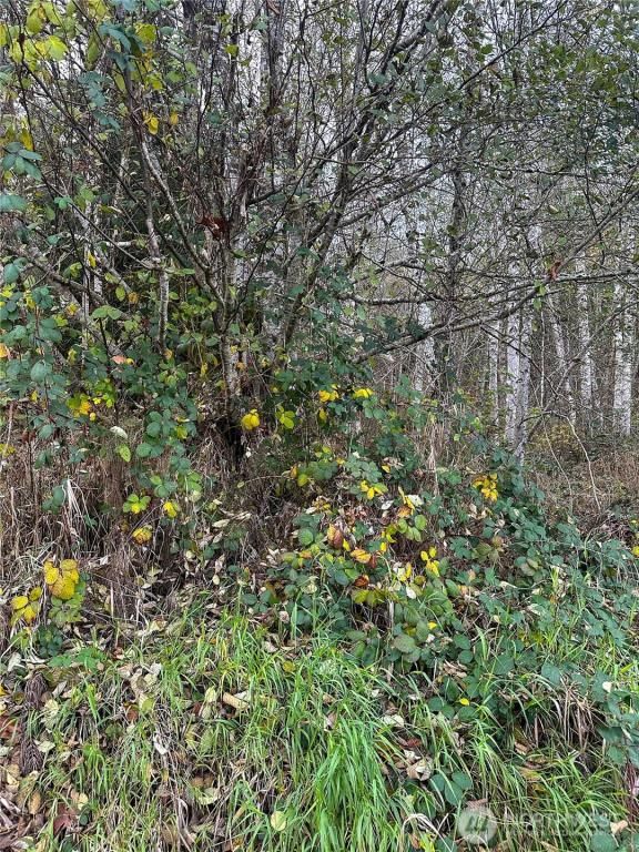 MLS #NWM2457625 image #0