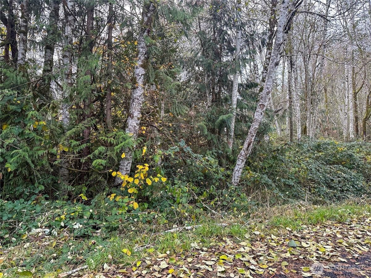 MLS #NWM2457635 image #0