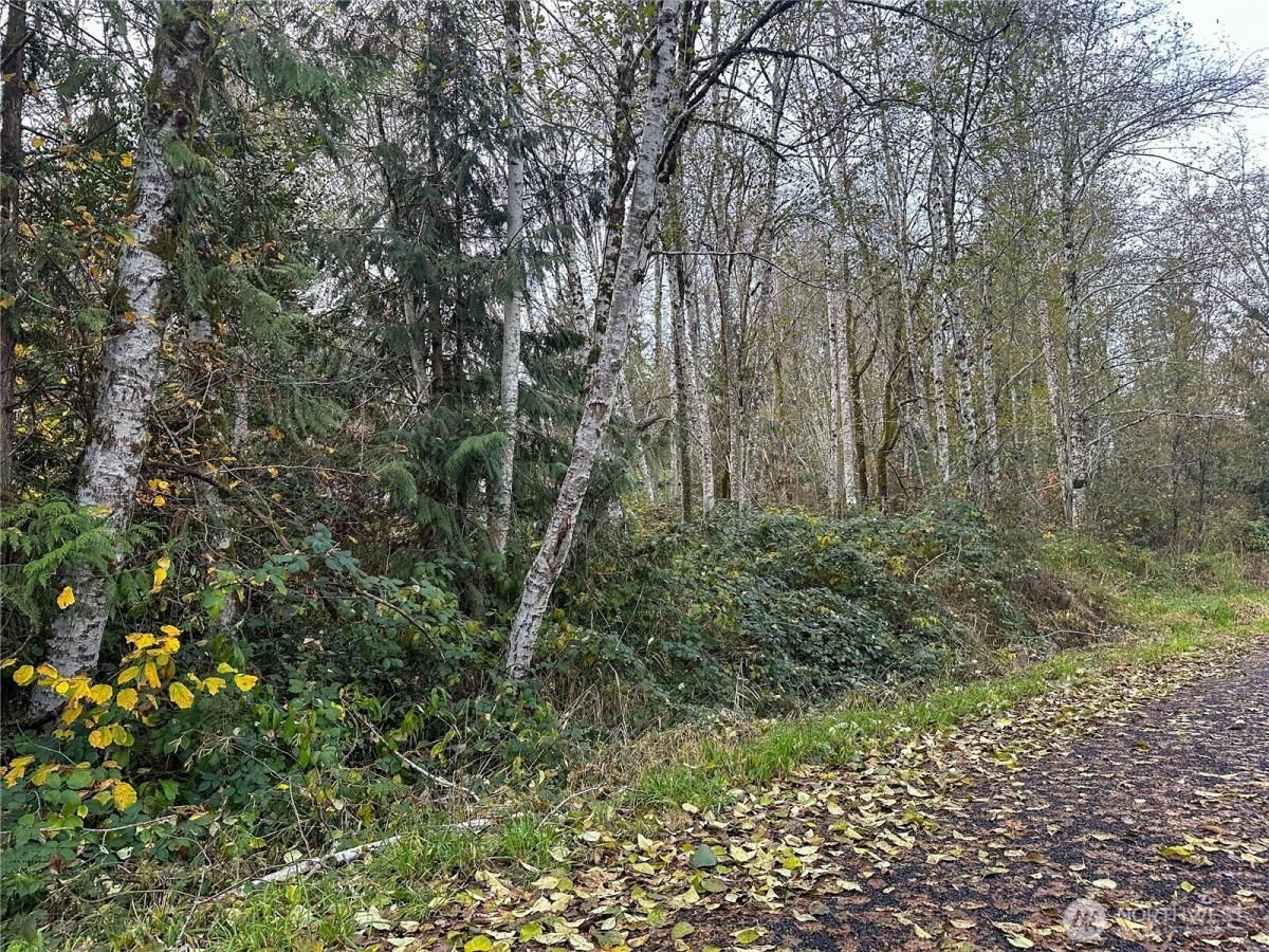 MLS #NWM2457644 image #0