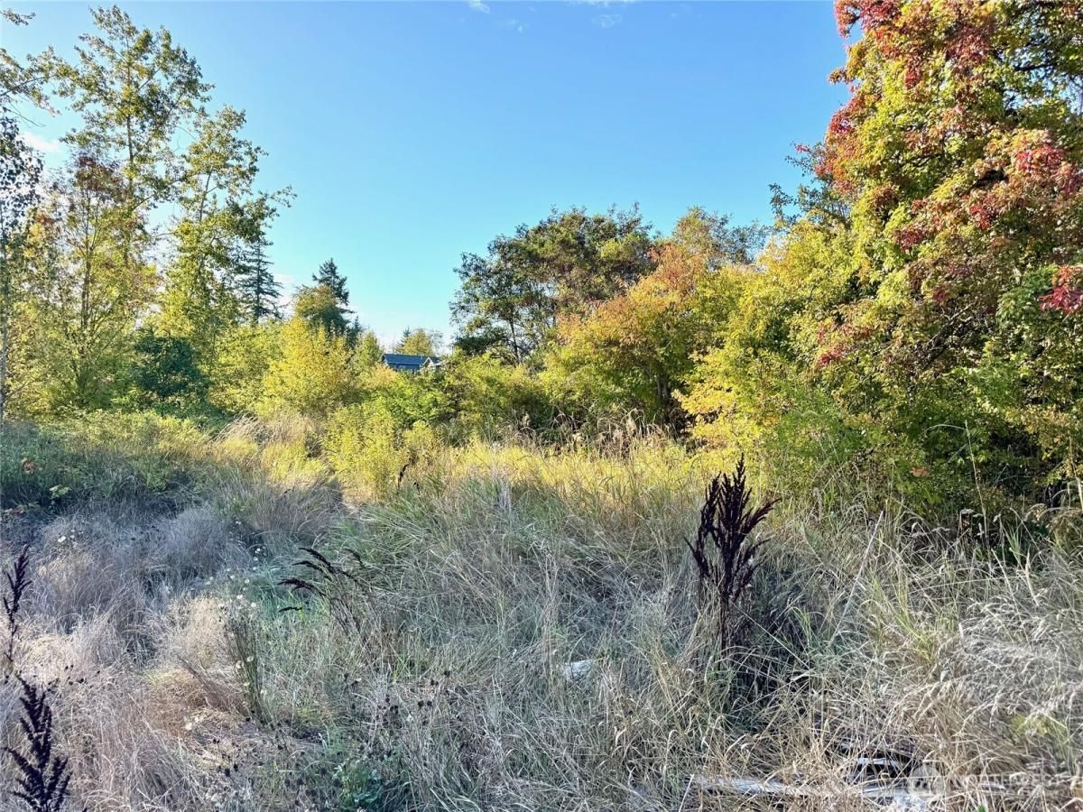 MLS #NWM2458549 image #0