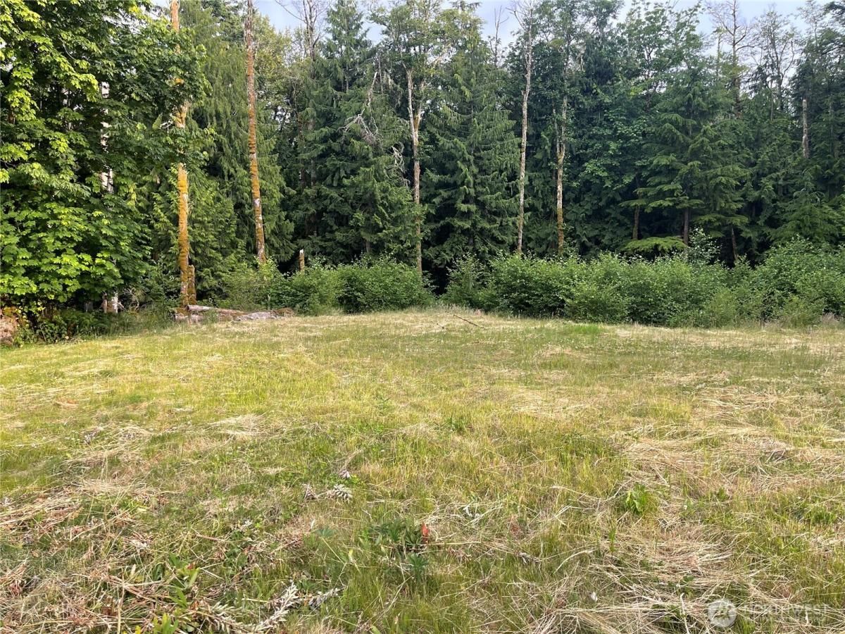 MLS #NWM2460616 image #0