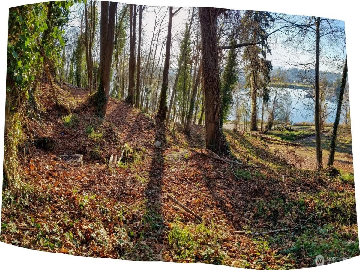 MLS #NWM2461082 image #0