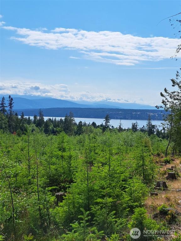 MLS #NWM2461687 image #0