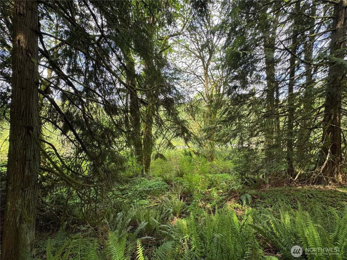 MLS #NWM2465571 image #0