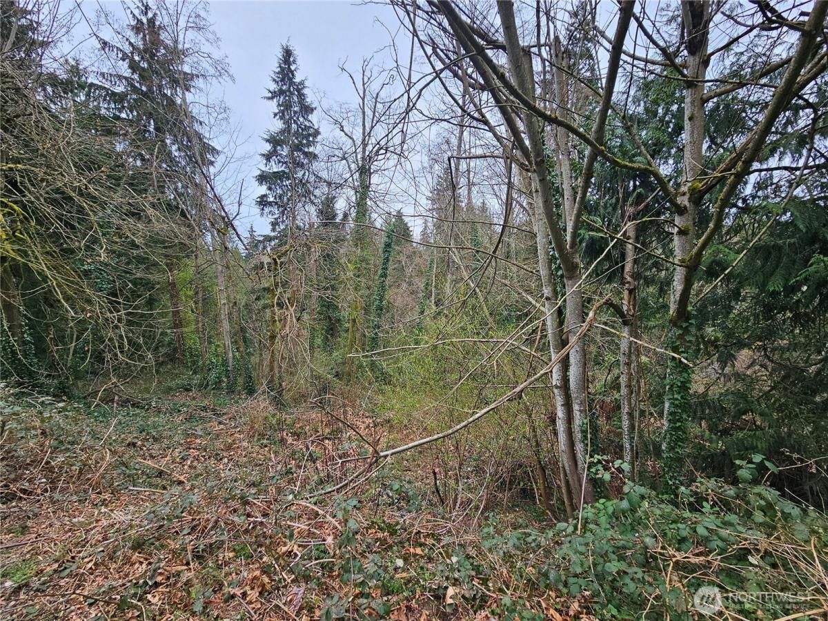 MLS #NWM2468226 image #0