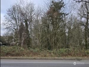 MLS #NWM2468853 image #0