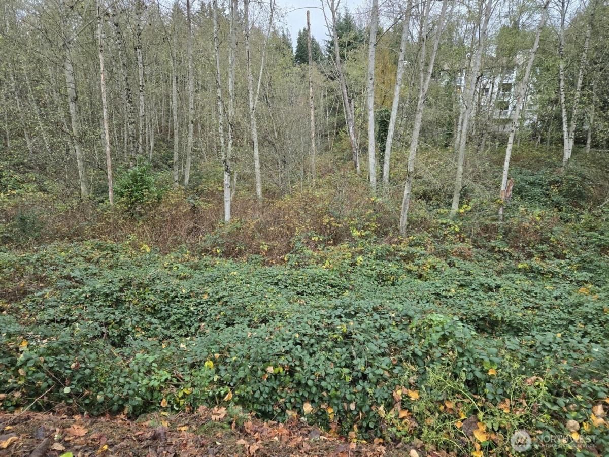 MLS #NWM2469289 image #0