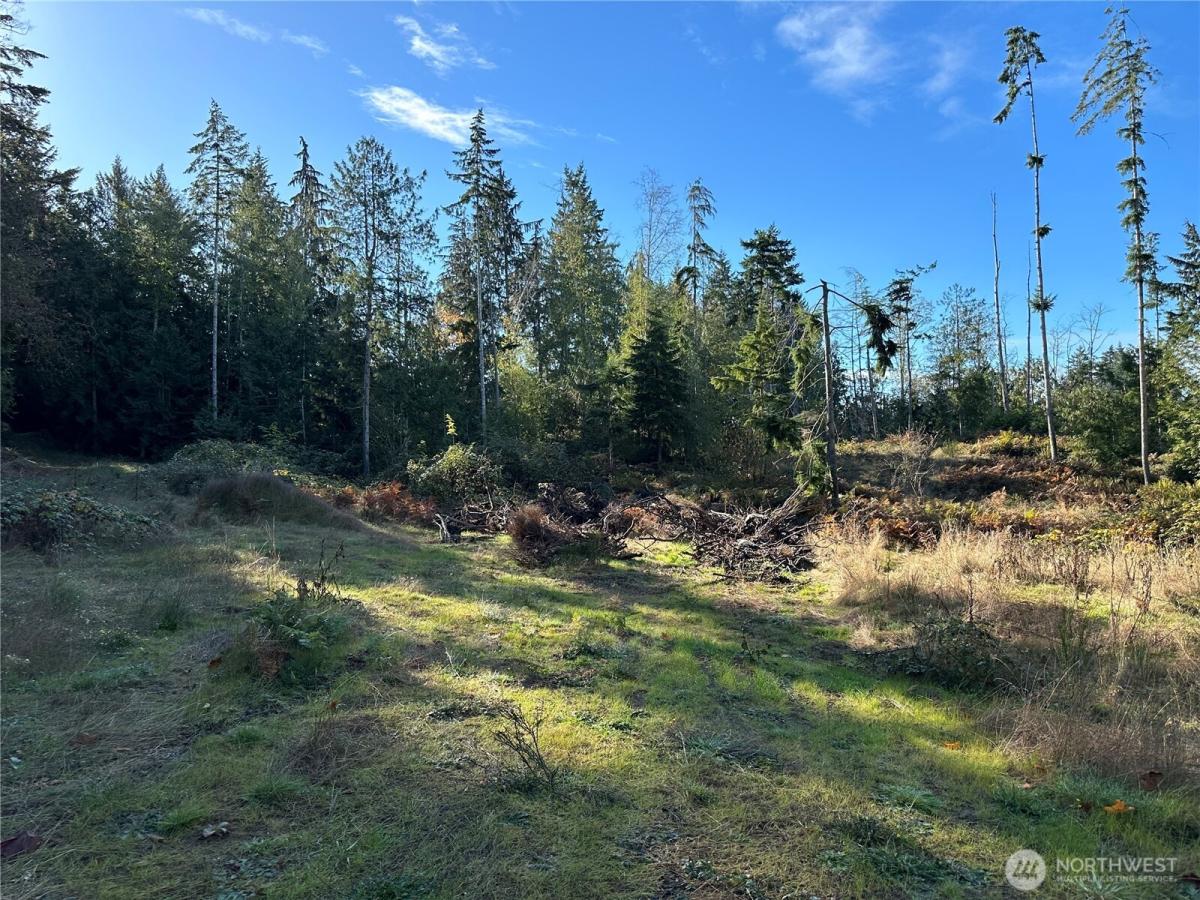 MLS #NWM2469777 image #0