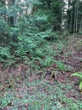 MLS #NWM2470161 image #0