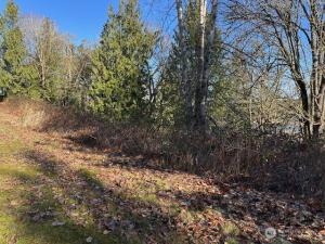 MLS #NWM2471341 image #0