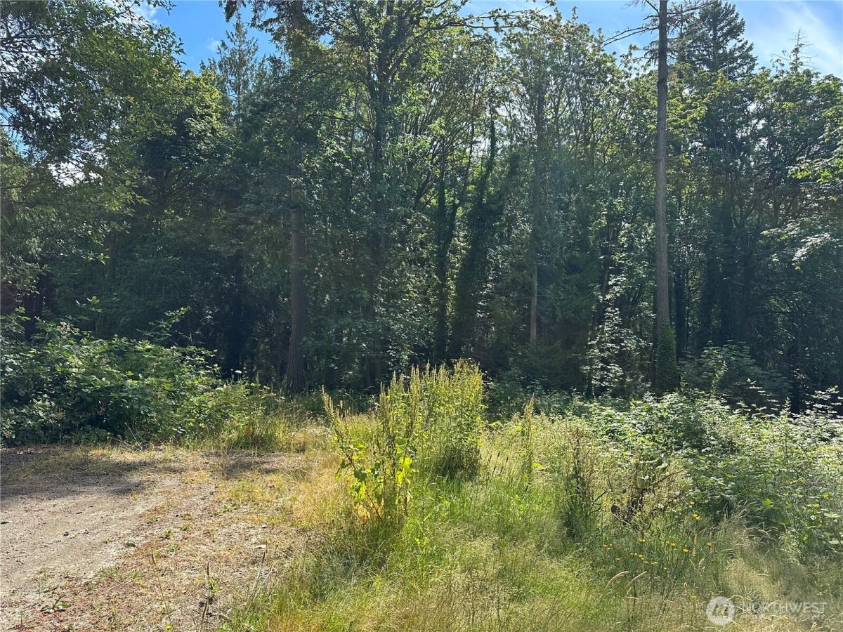 MLS #NWM2472955 image #0