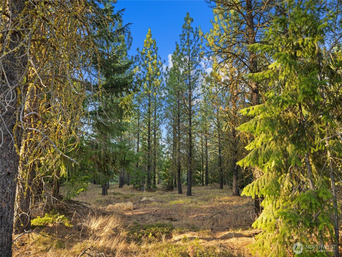 MLS #NWM2473224 image #0