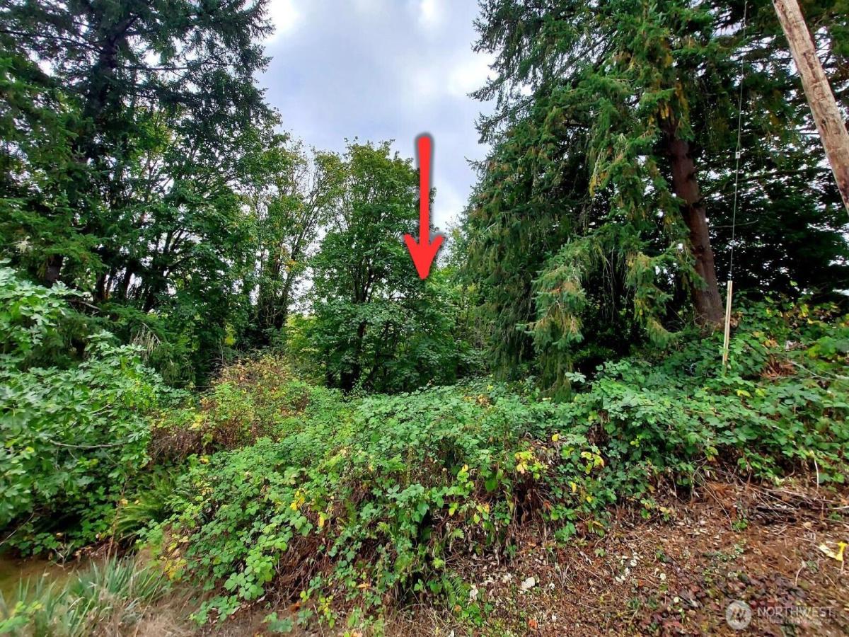 MLS #NWM2477674 image #0