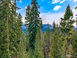 broker reciprocity