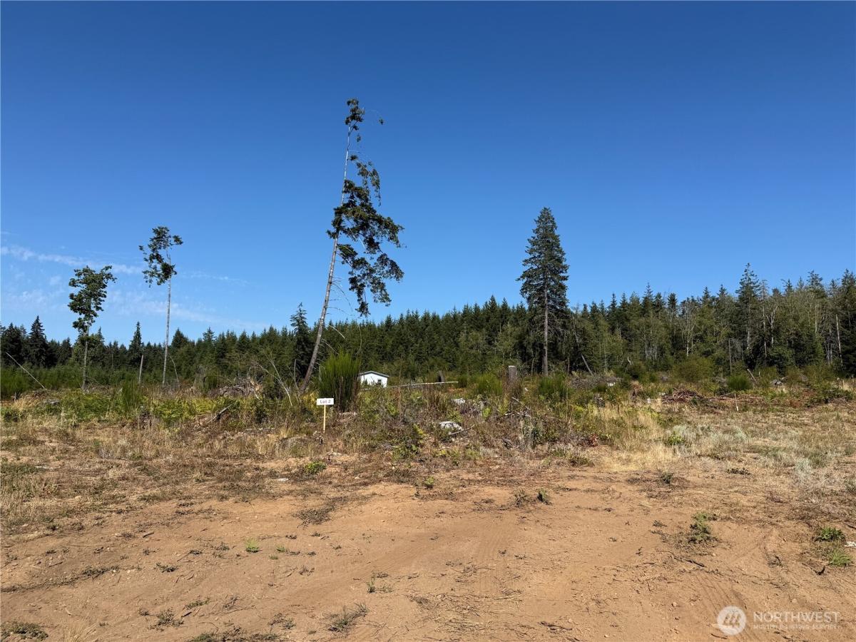 MLS #NWM2480729 image #0