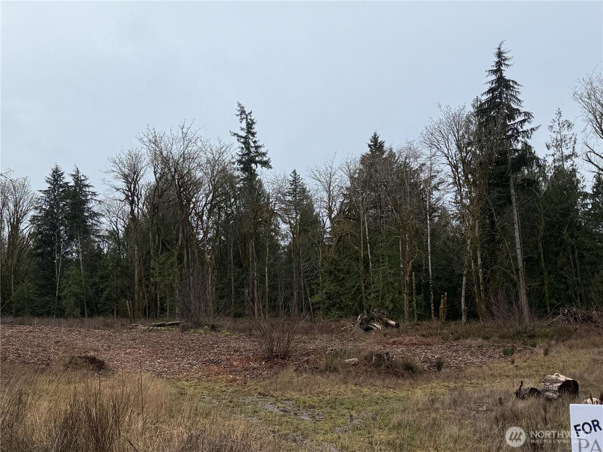 MLS #NWM2480734 image #0
