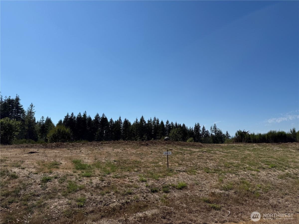 MLS #NWM2480739 image #0