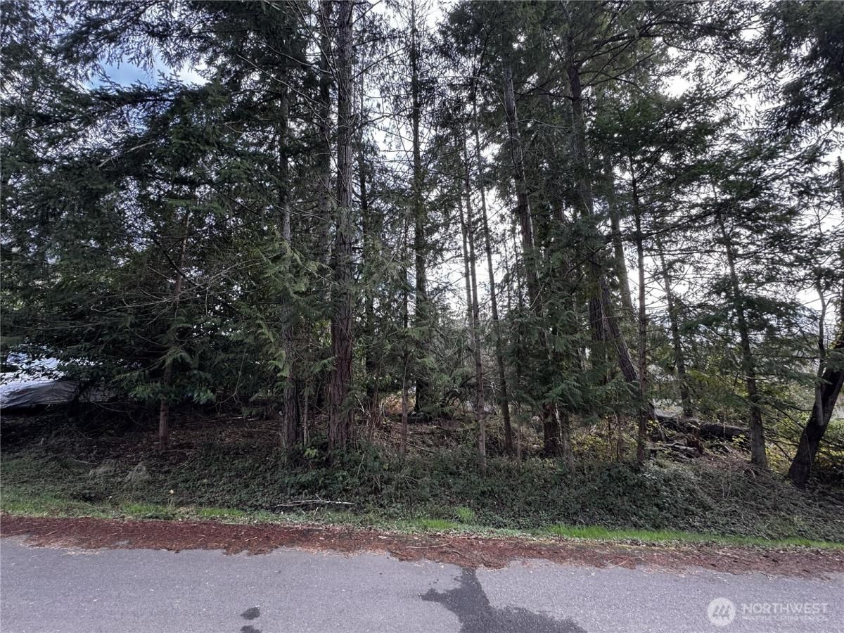 MLS #NWM2483533 image #0