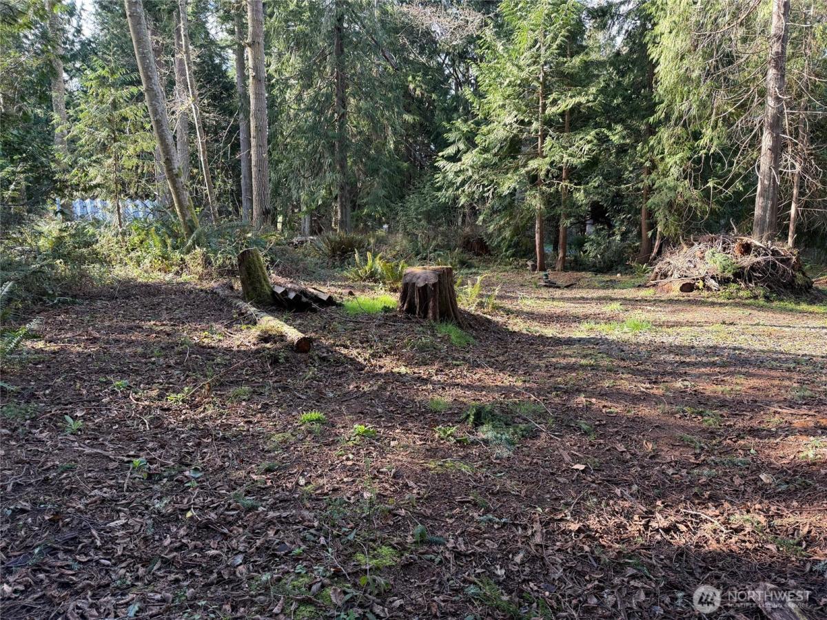 MLS #NWM2486387 image #0