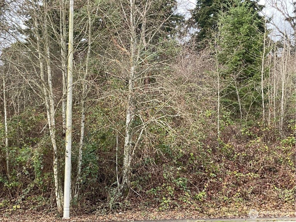 MLS #NWM2487482 image #0