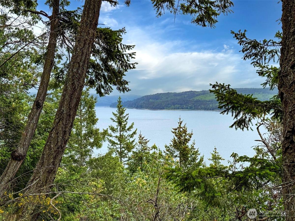 MLS #NWM2487839 image #0