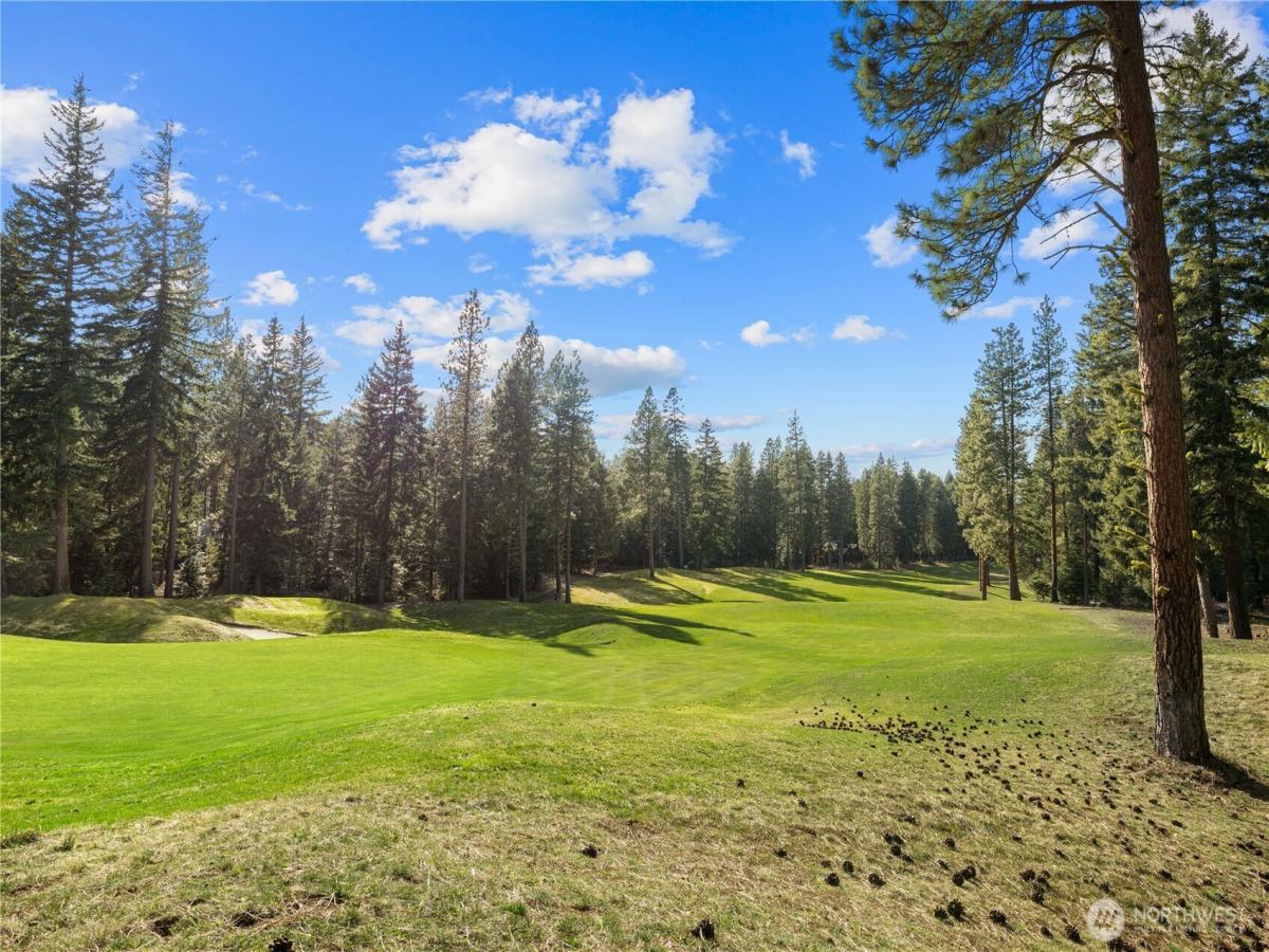 MLS #NWM2490334 image #0