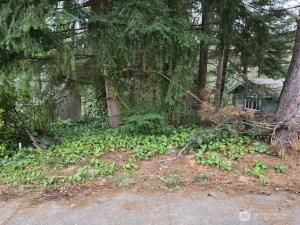 MLS #NWM2492125 image #0