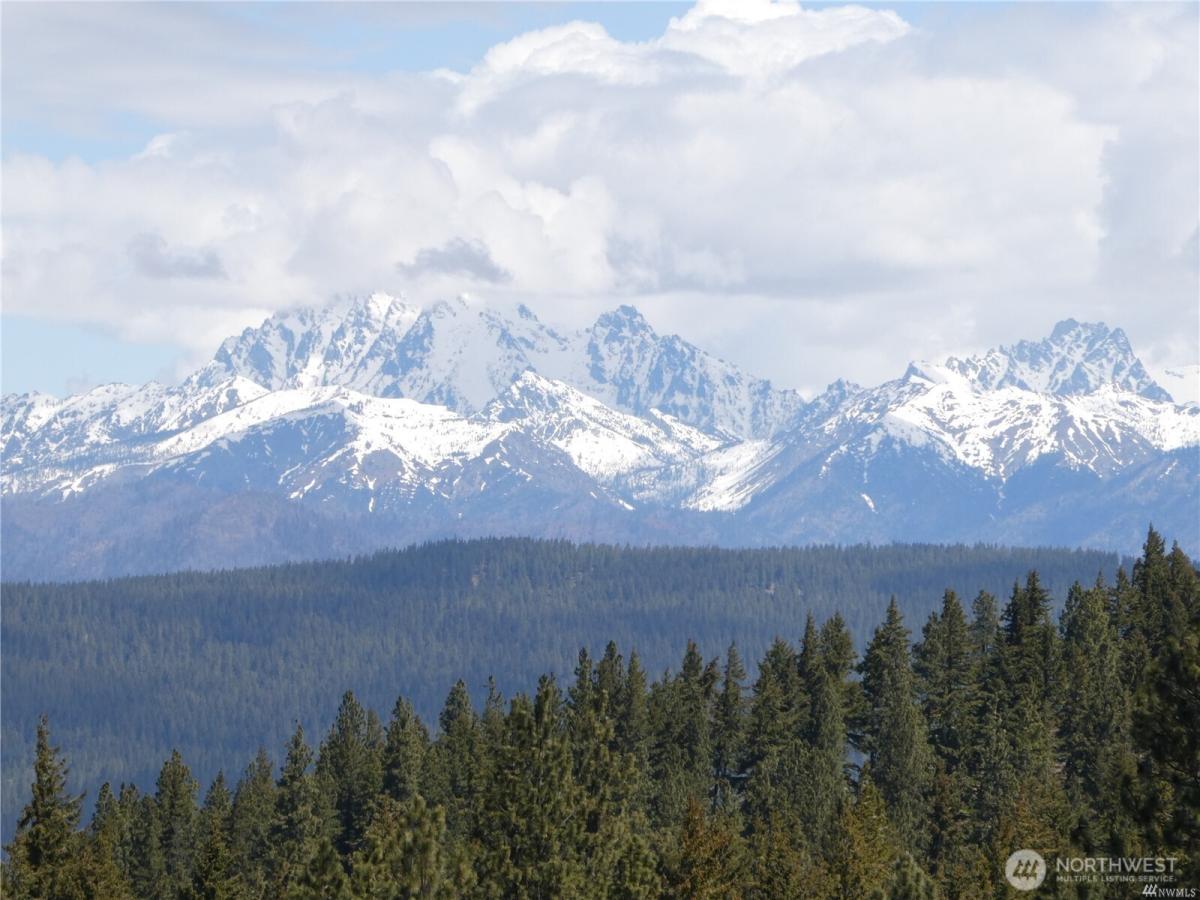 MLS #NWM2500202 image #0