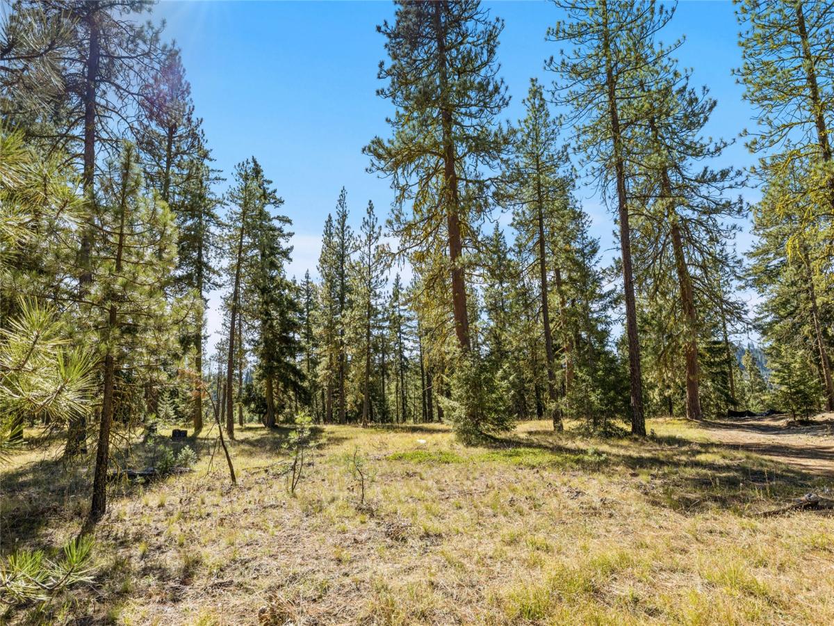 MLS #NWM2500376 image #0
