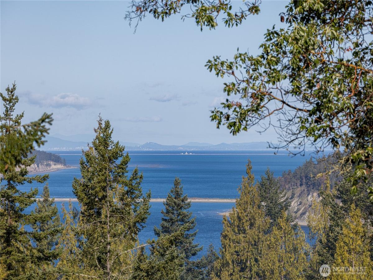 MLS #NWM2500575 image #0