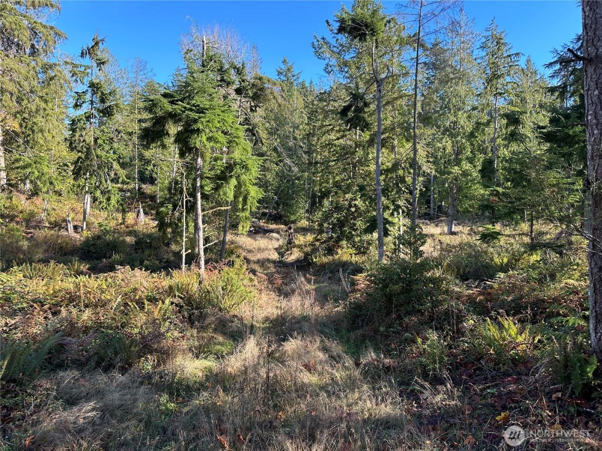 MLS #NWM2503787 image #0