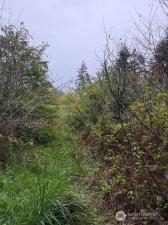 MLS #NWM2504448 image #0