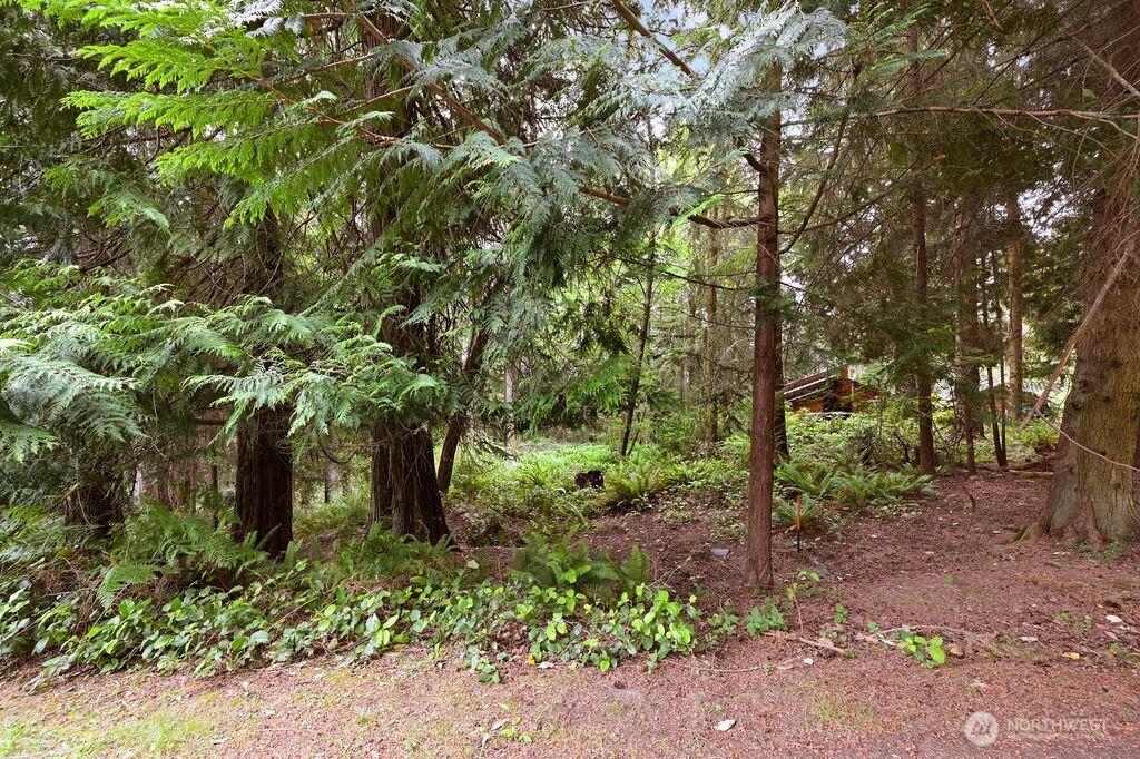 MLS #NWM2504578 image #0