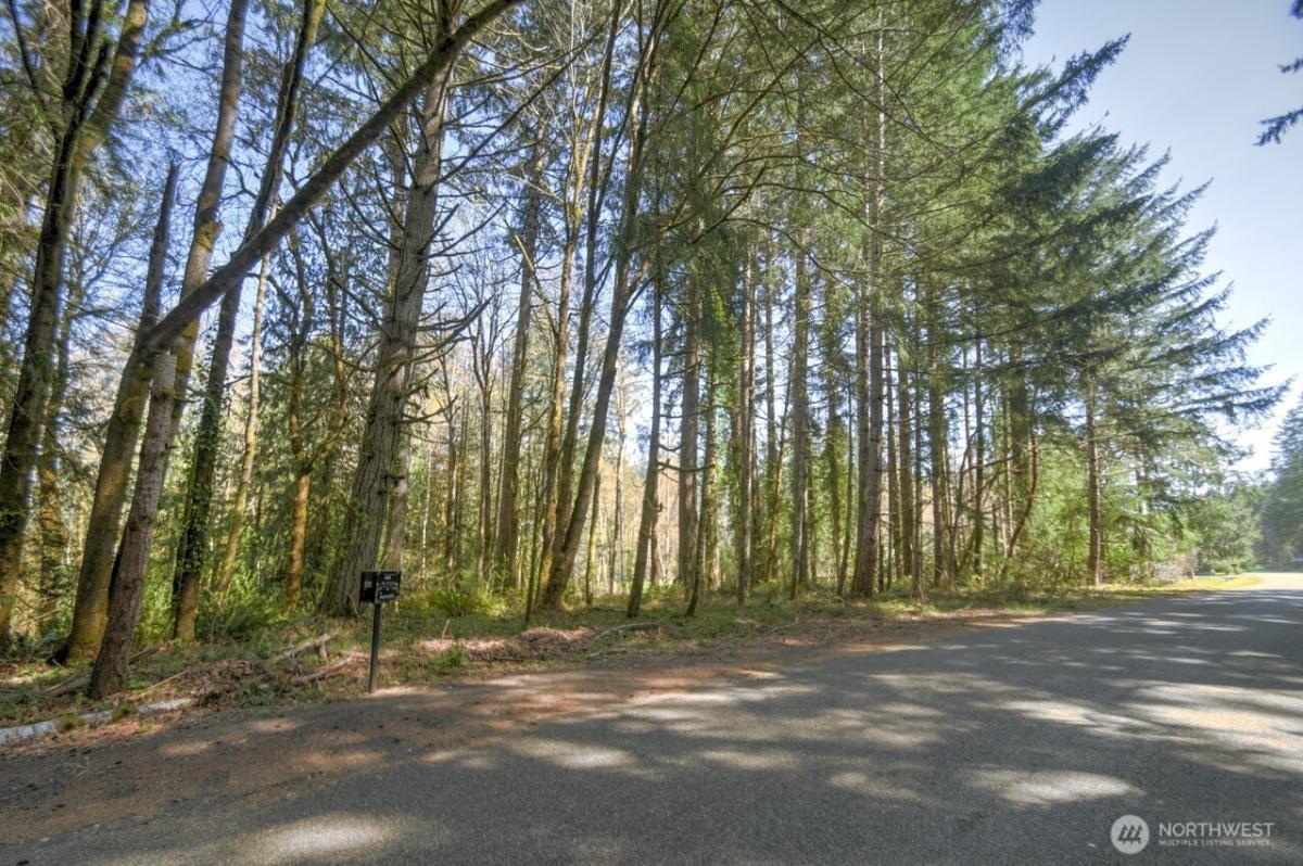 MLS #NWM2504596 image #0
