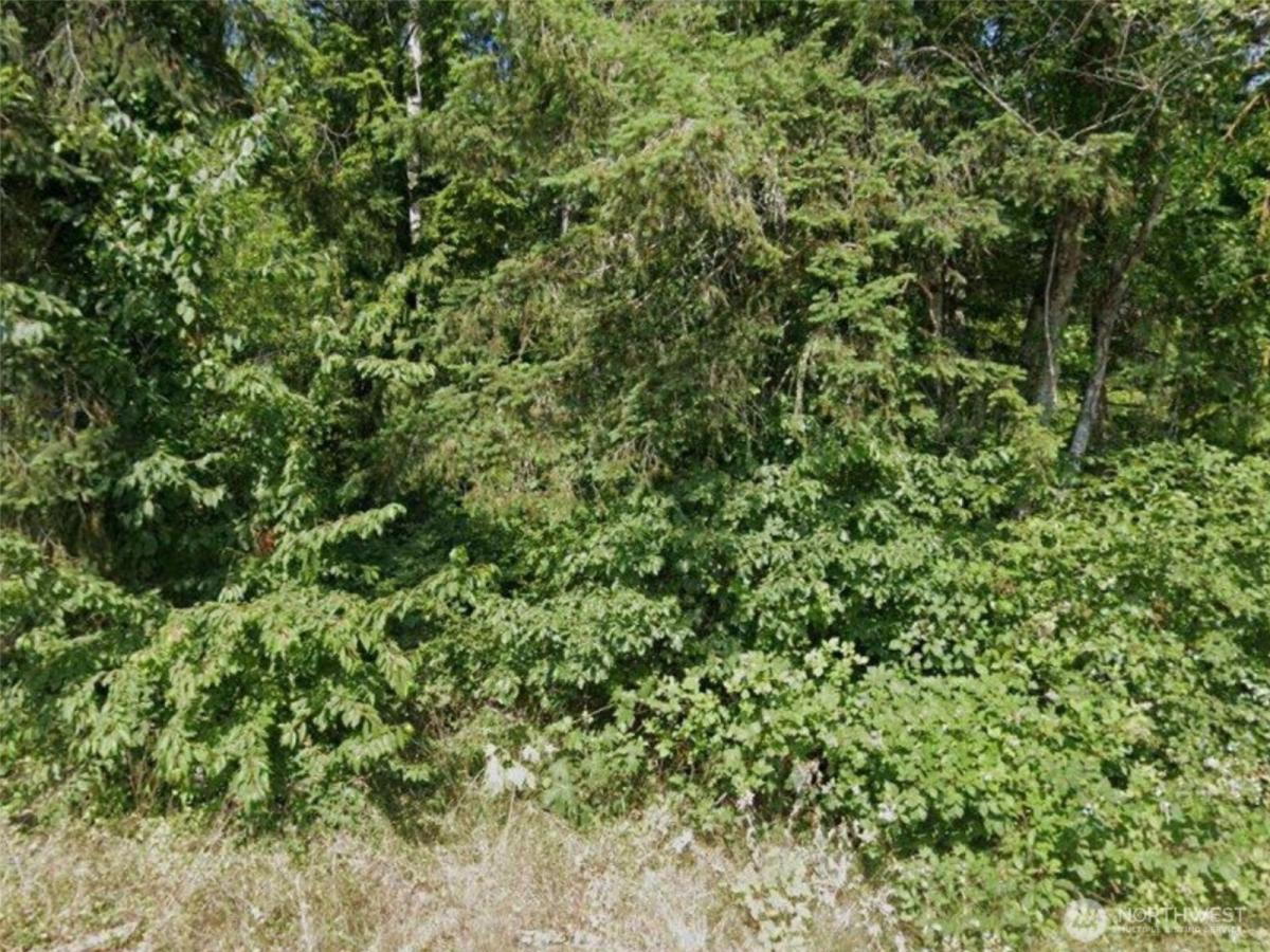 MLS #NWM2504853 image #0