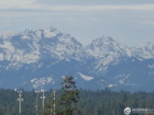 MLS #NWM2507235 image #0