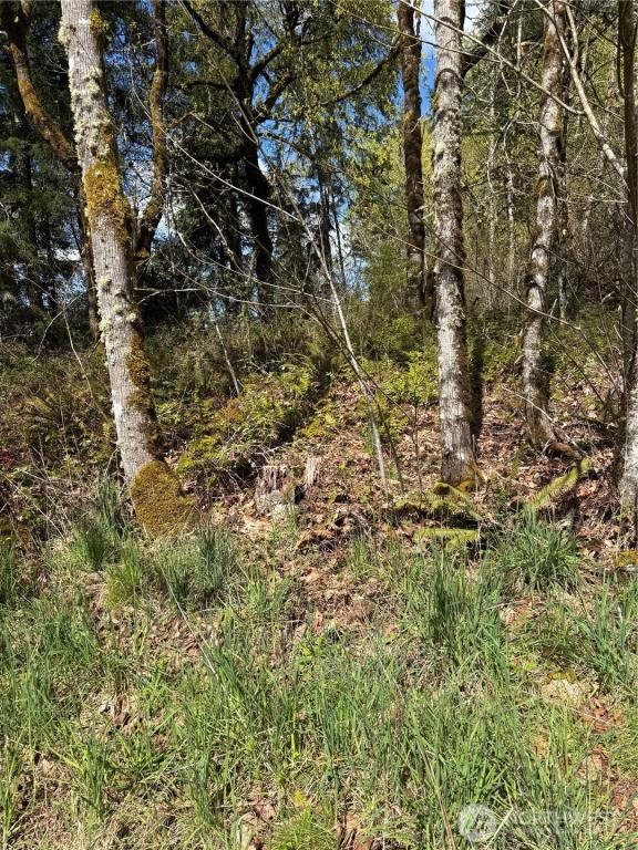 MLS #NWM2508878 image #0