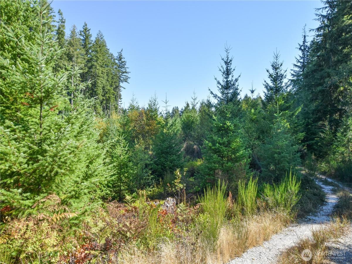 MLS #NWM2509372 image #0