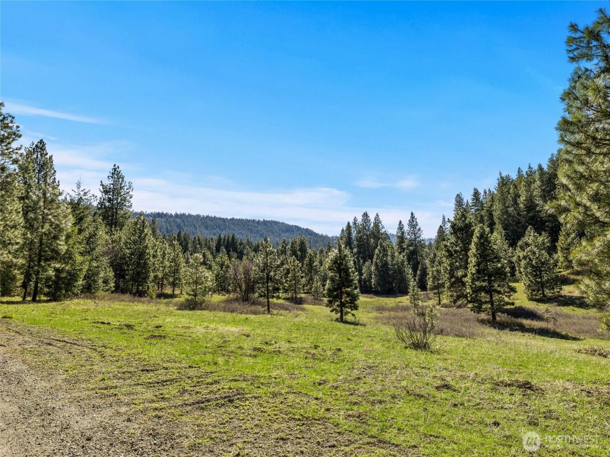 MLS #NWM2509798 image #0