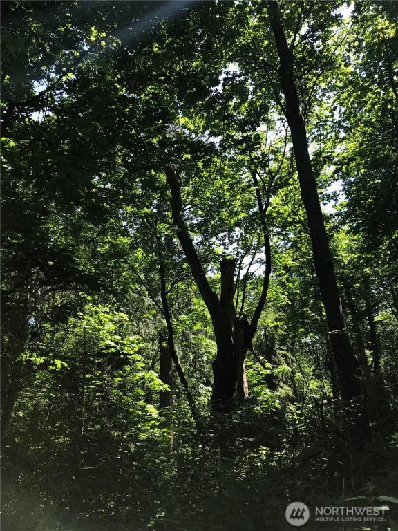 MLS #NWM2511511 image #0